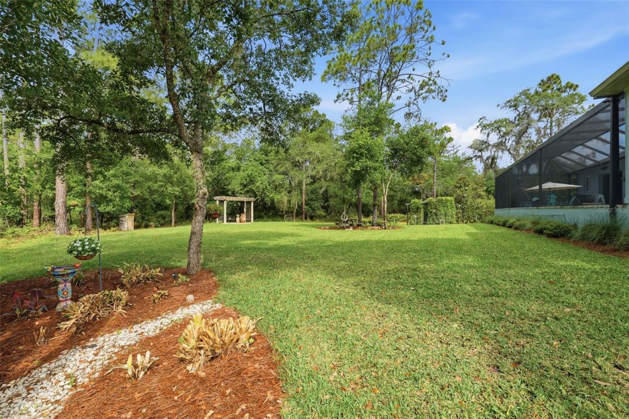 14112 Oakwood Cove Lane, Orlando, FL 32832 Photo