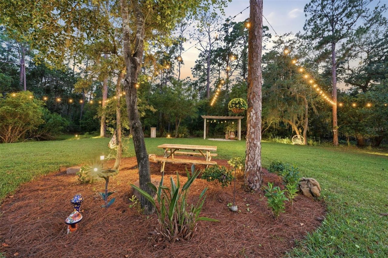 14112 Oakwood Cove Lane, Orlando, FL 32832 Photo