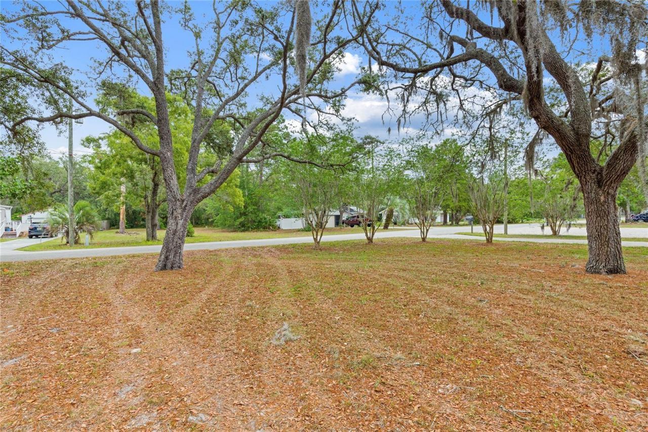 3377 Memory Lane , Spring Hill, FL 34606 Photo