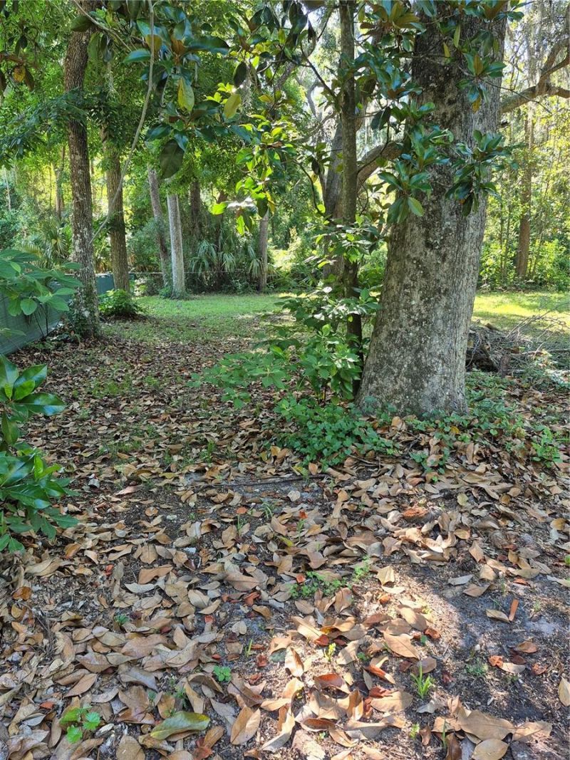 16615 NE 45th Court, Citra, FL 32113 Photo