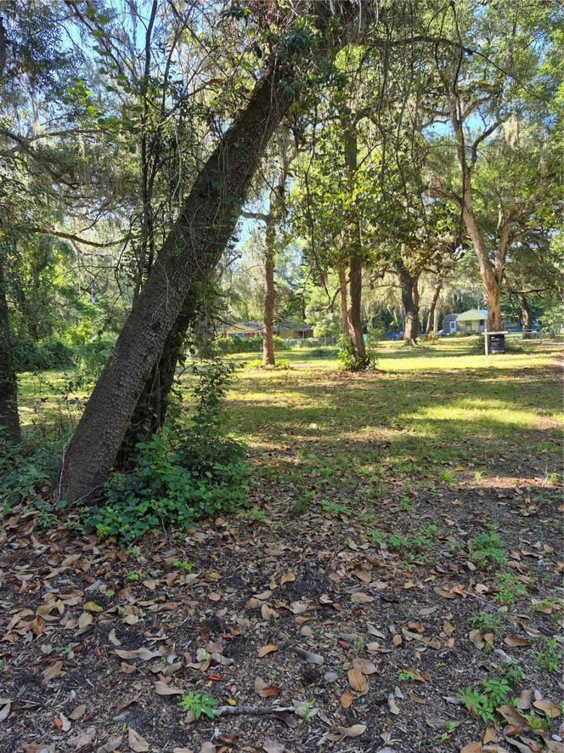 16615 NE 45th Court, Citra, FL 32113 Photo