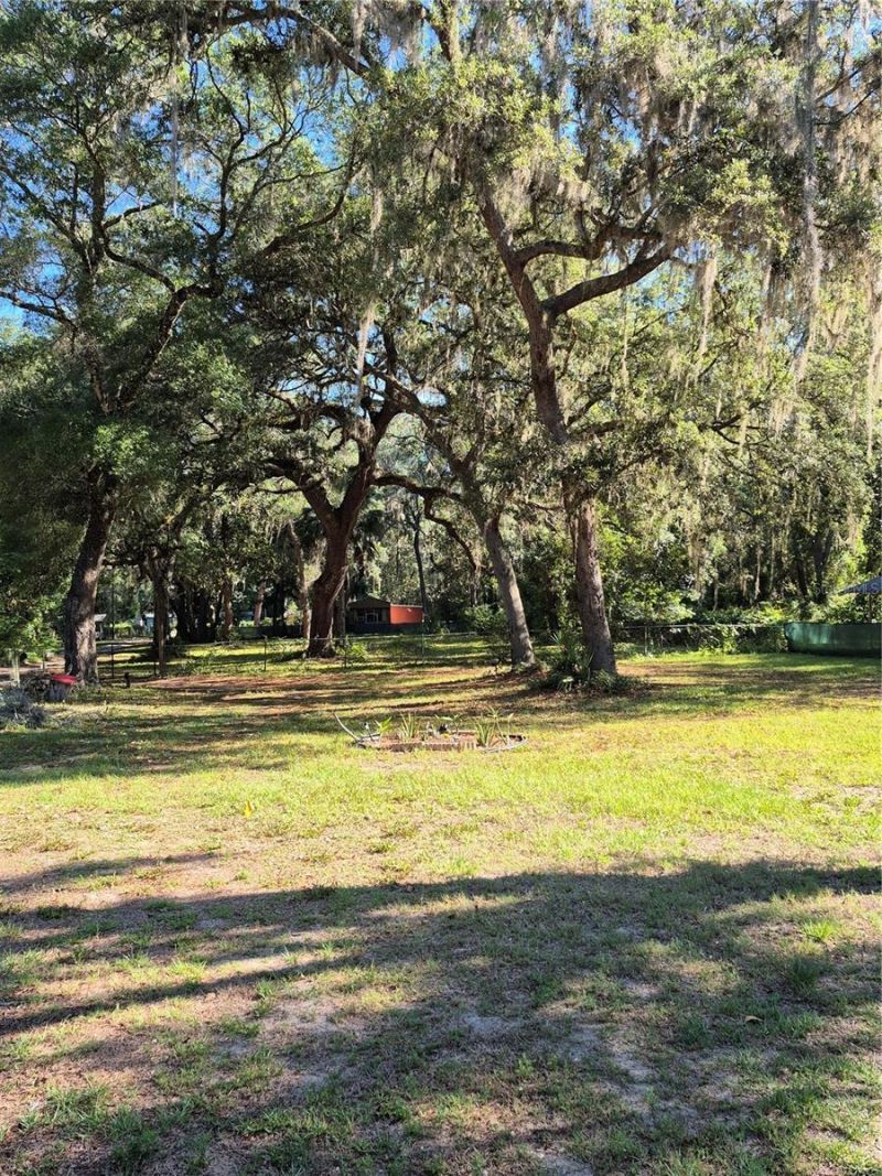 16615 NE 45th Court, Citra, FL 32113 Photo