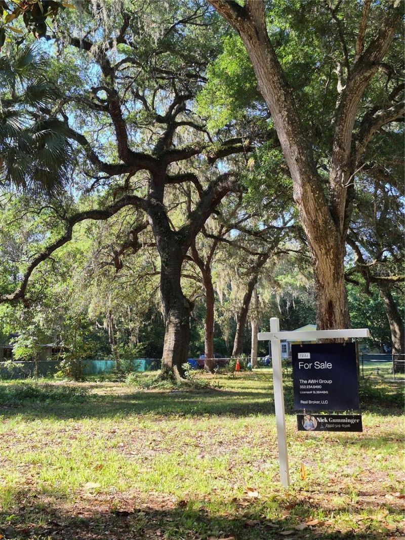 16615 NE 45th Court, Citra, FL 32113 Photo