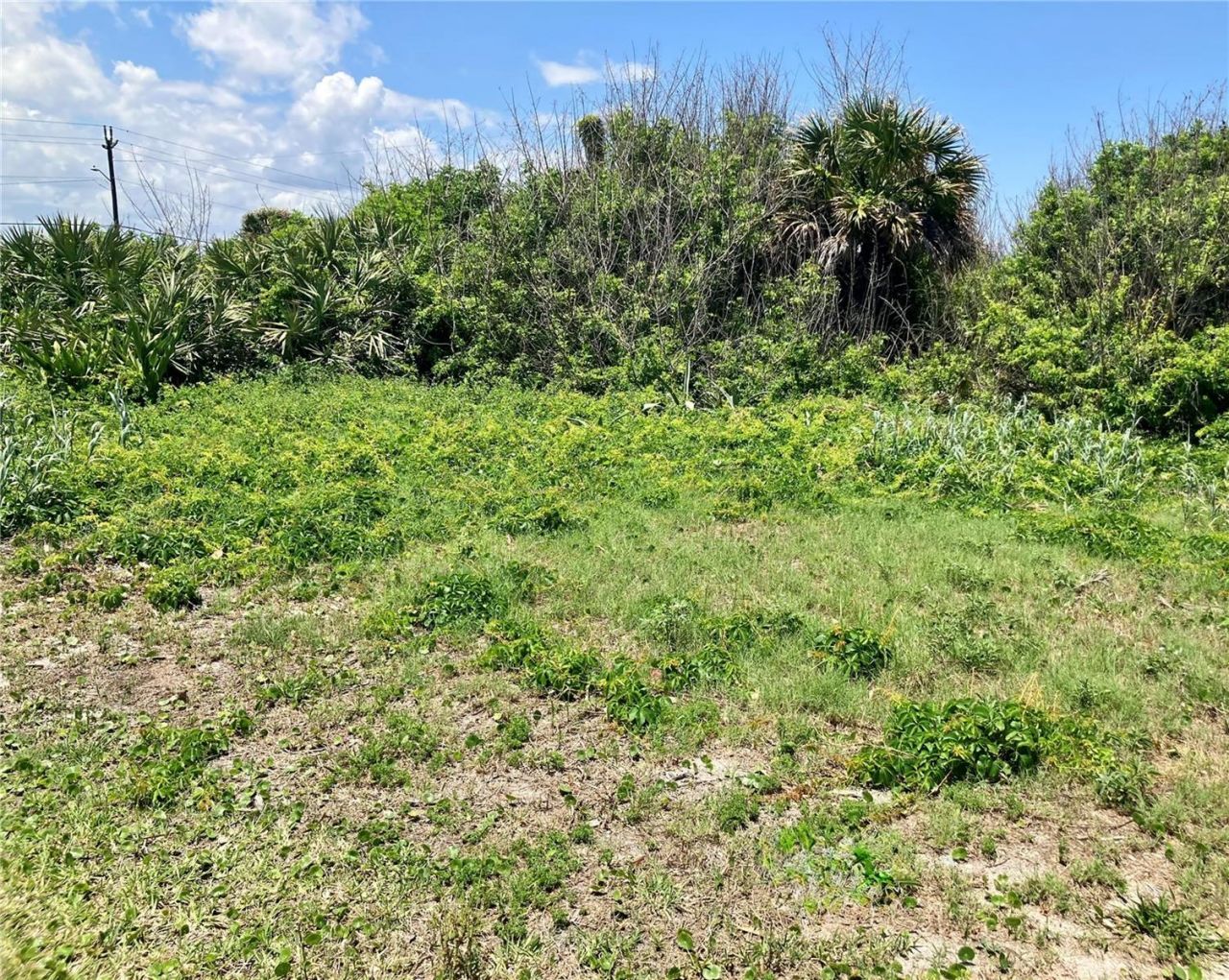 6000 S Atlantic Avenue, New Smyrna Beach, FL 32169 Photo