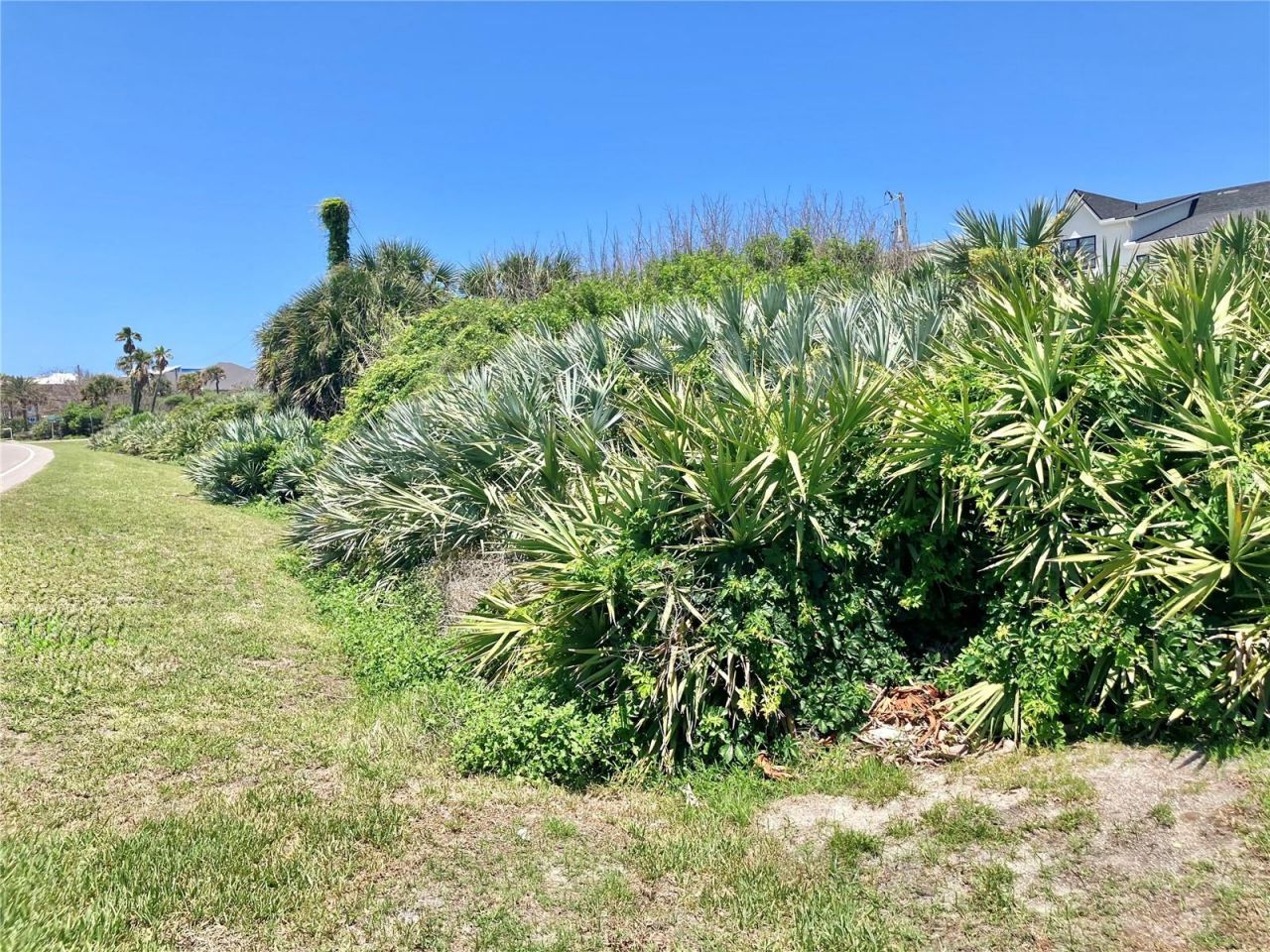6000 S Atlantic Avenue, New Smyrna Beach, FL 32169 Photo