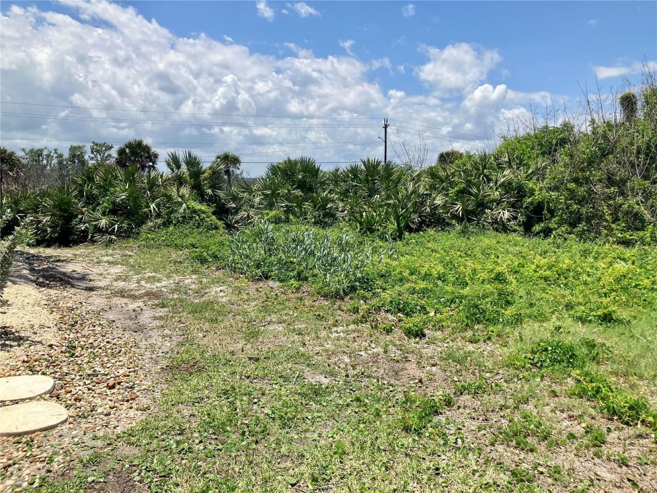 6000 S Atlantic Avenue, New Smyrna Beach, FL 32169 Photo