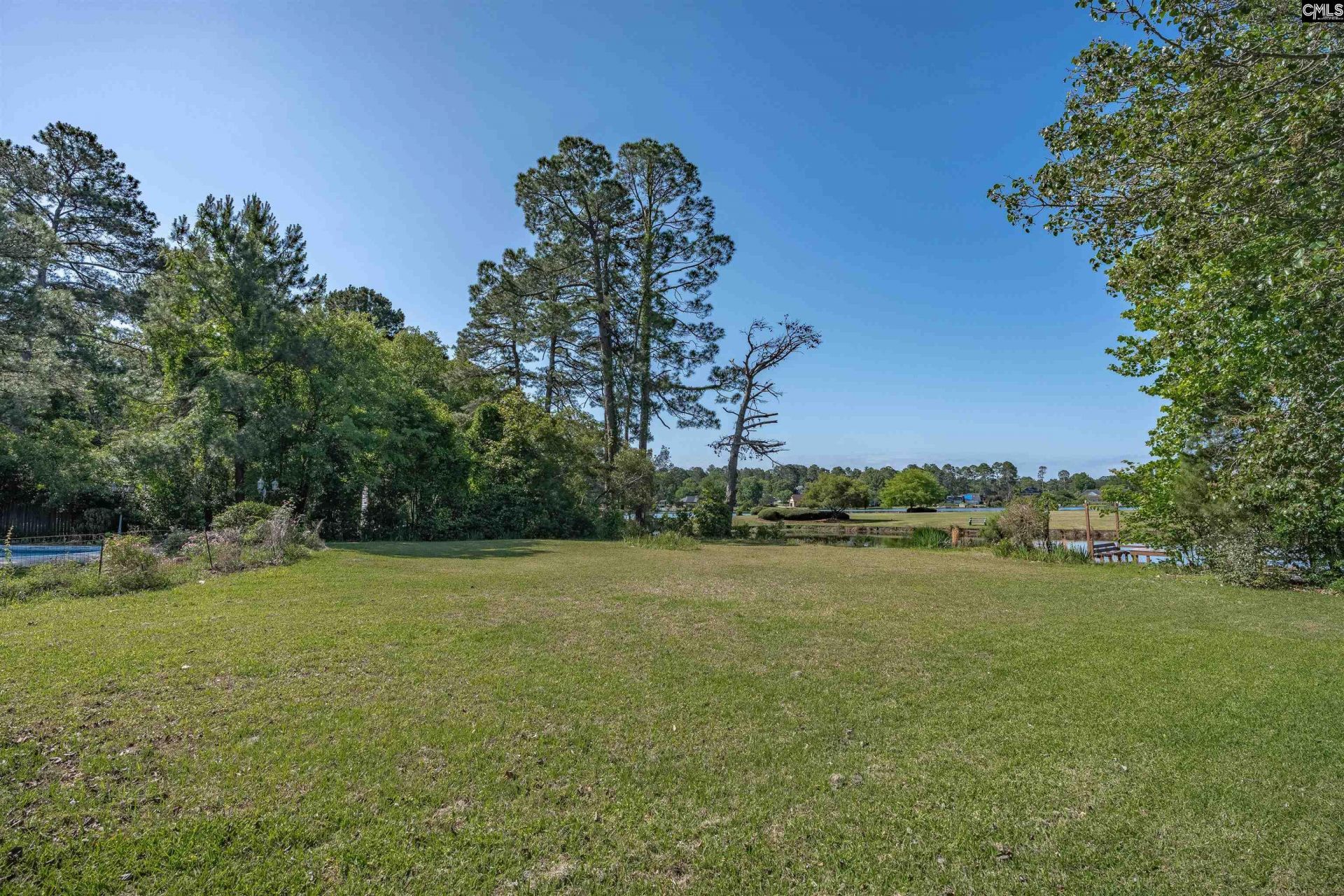 824 Cold Branch Drive Photo 38