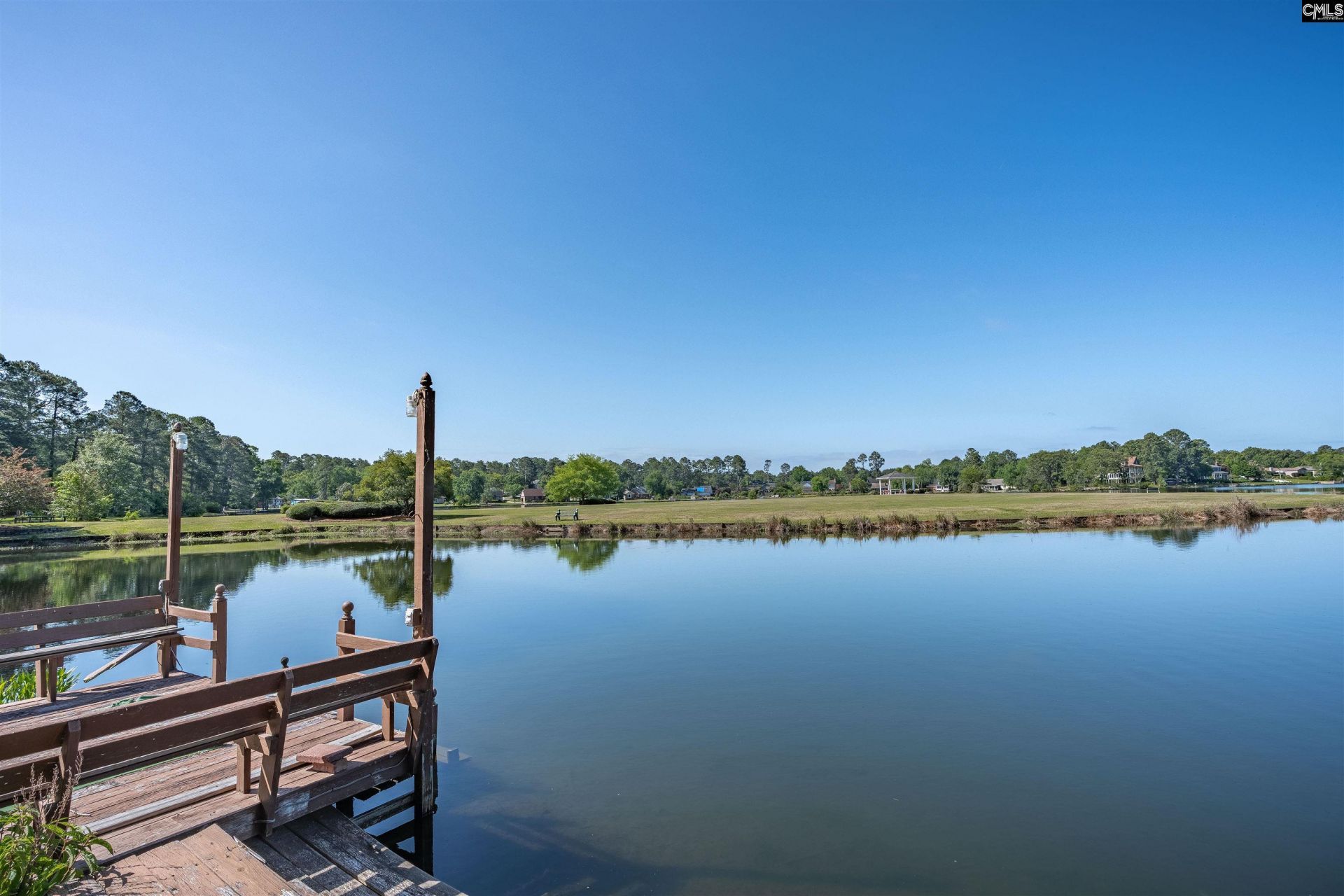 824 Cold Branch Drive Photo 44
