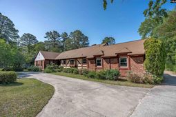 824 Cold Branch Drive photo 4