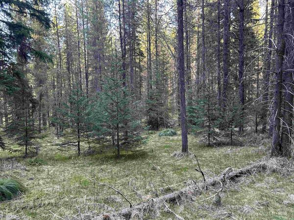 162 Coopers Lane, Elk City, ID 83525