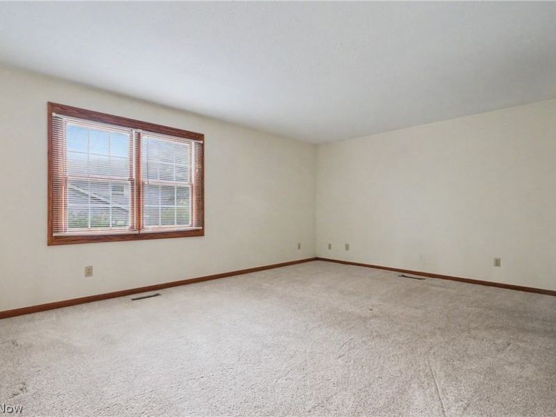 1344 Fox Run Court, Youngstown, OH 44512 Photo 19