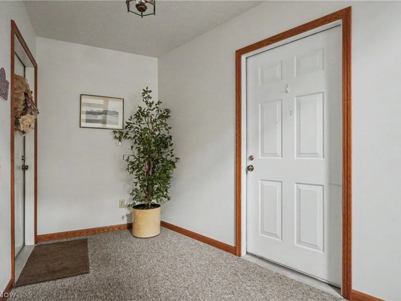 1344 Fox Run Court, Youngstown, OH 44512 Photo 28