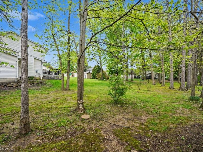 1344 Fox Run Court, Youngstown, OH 44512 Photo 34