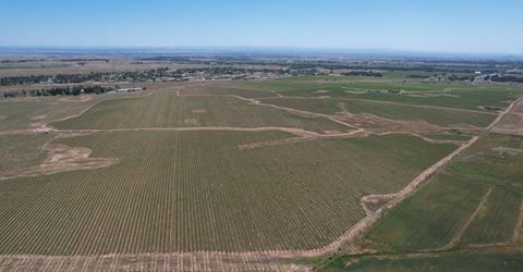 Grant Line Rd, Elk Grove, CA 95624 Photo