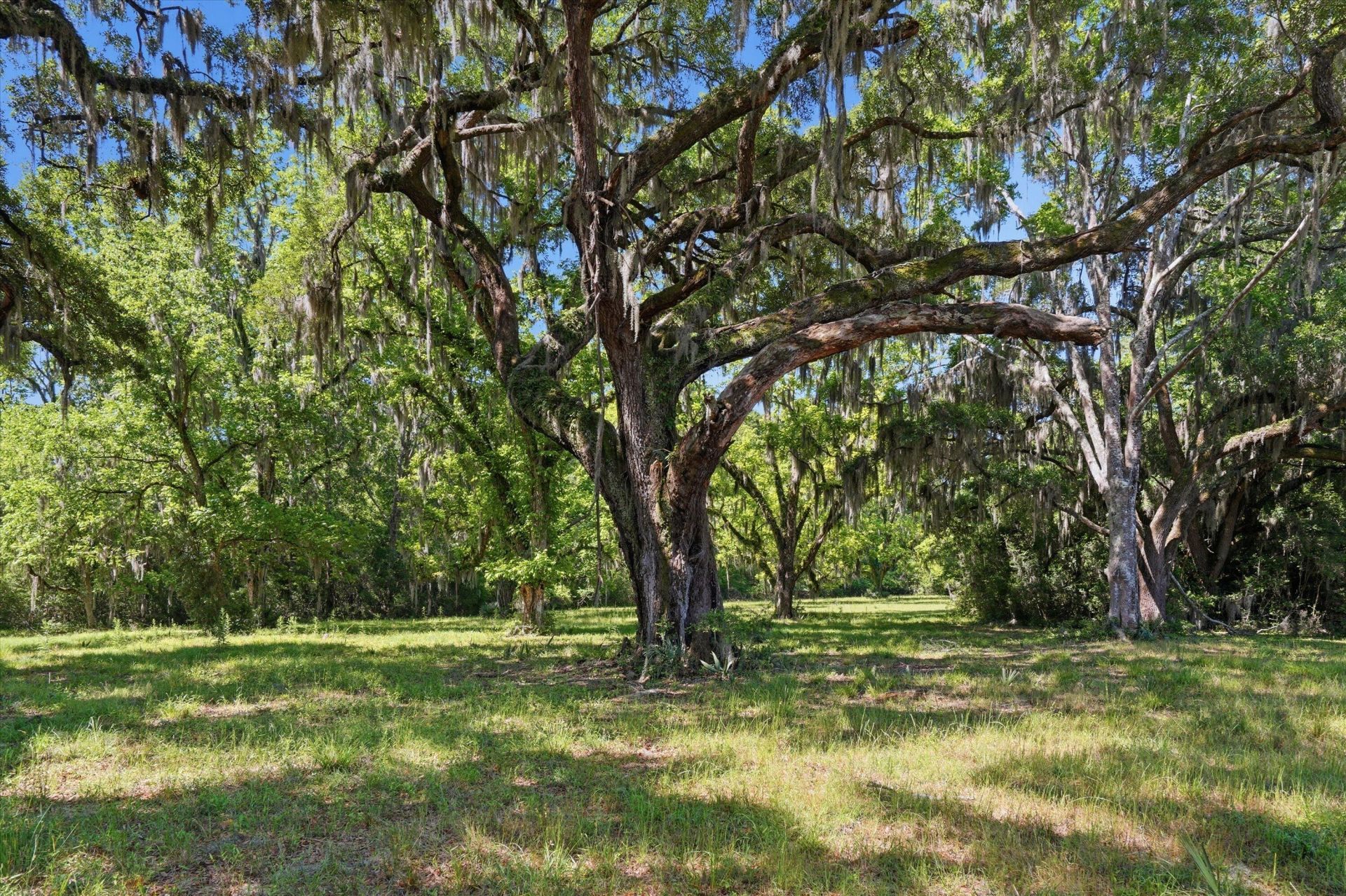 7817 Little Britton Road Photo 4