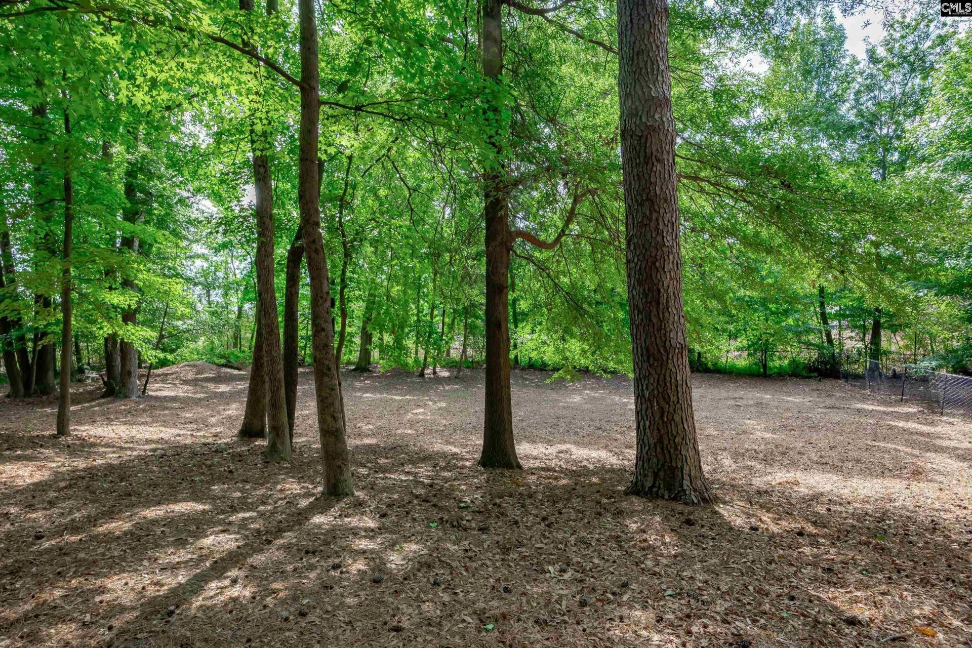 407 Hampton Forest Drive Photo 48