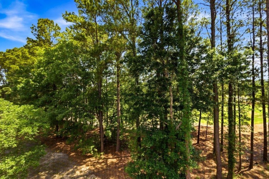 6253 Catalina Dr. Photo 18