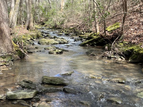 126 Kelly Creek Road, Whitwell, TN 37397