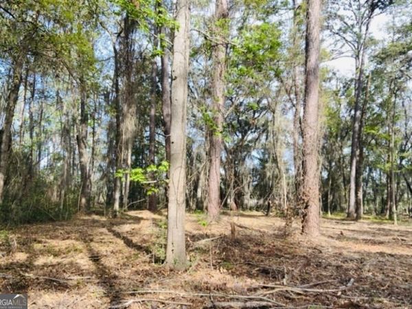 0000 W BLACK ISLAND Road SE, Darien, GA 31305