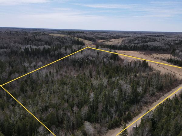 TBD CO Rd 40 , Effie, MN 56639