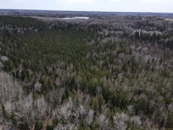 TBD CO Rd 40, Effie, MN 56639