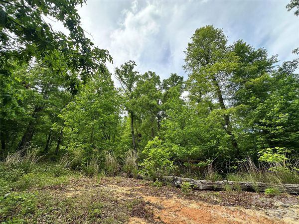 99999 Bird Creek Estates Road , Black Mountain, NC 28711