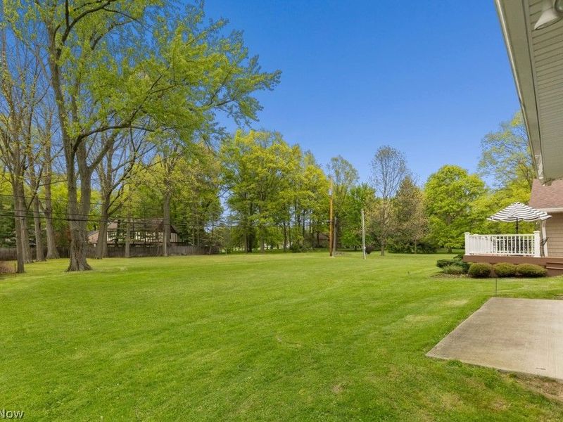 1319 Glamorgan Street, Alliance, OH 44601 Photo 39