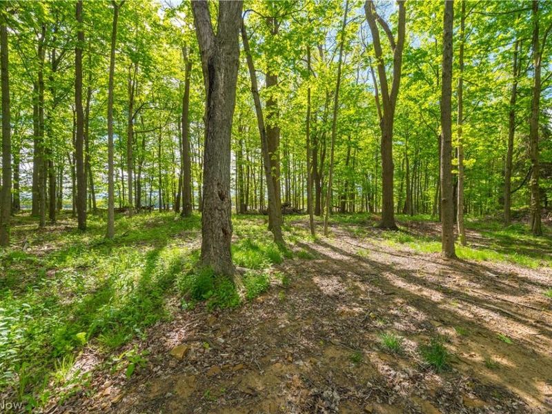 9416 State Route 60, Wakeman, OH 44889 Photo 45