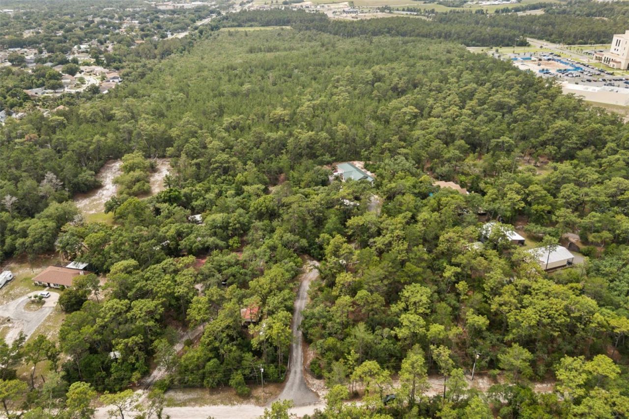 925 Blackjack Ridge Trail, Lake Helen, FL 32744 Photo