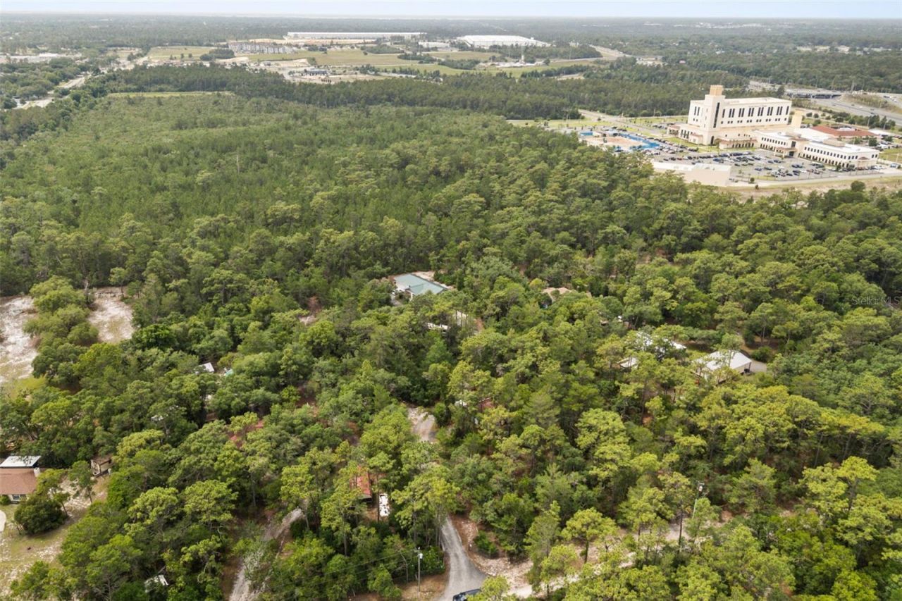 925 Blackjack Ridge Trail, Lake Helen, FL 32744 Photo