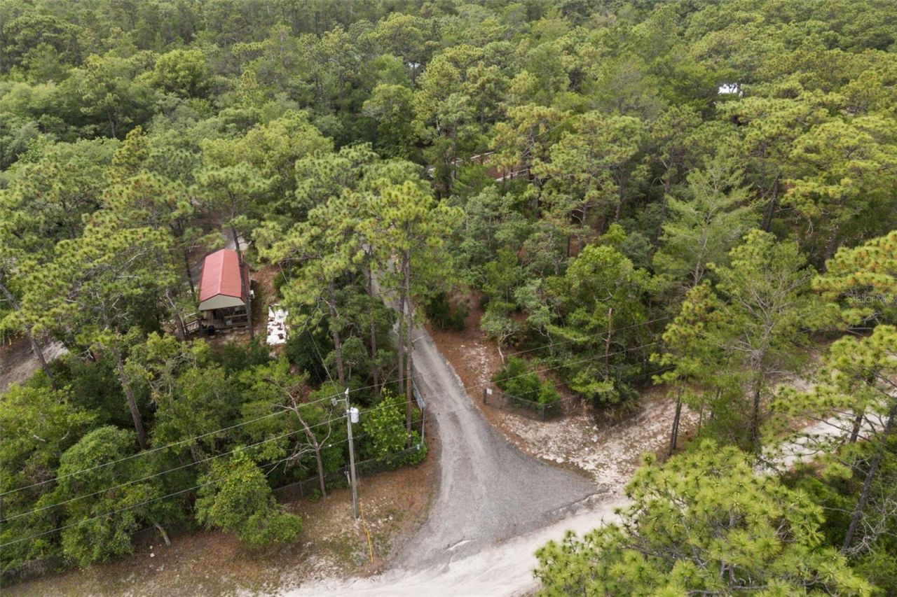 925 Blackjack Ridge Trail, Lake Helen, FL 32744 Photo