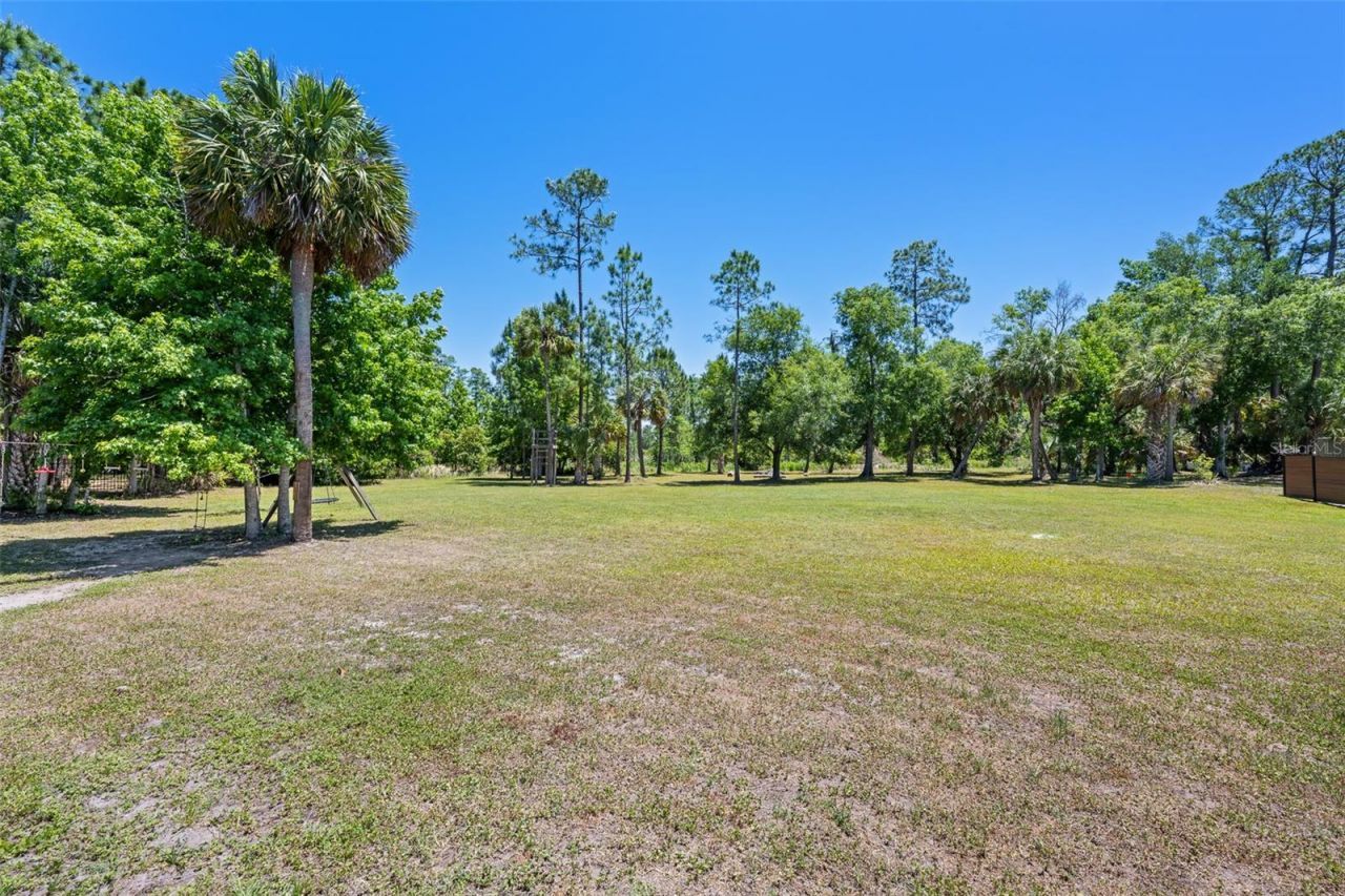 8224 Spring Forest Lane , Wesley Chapel, FL 33544 Photo