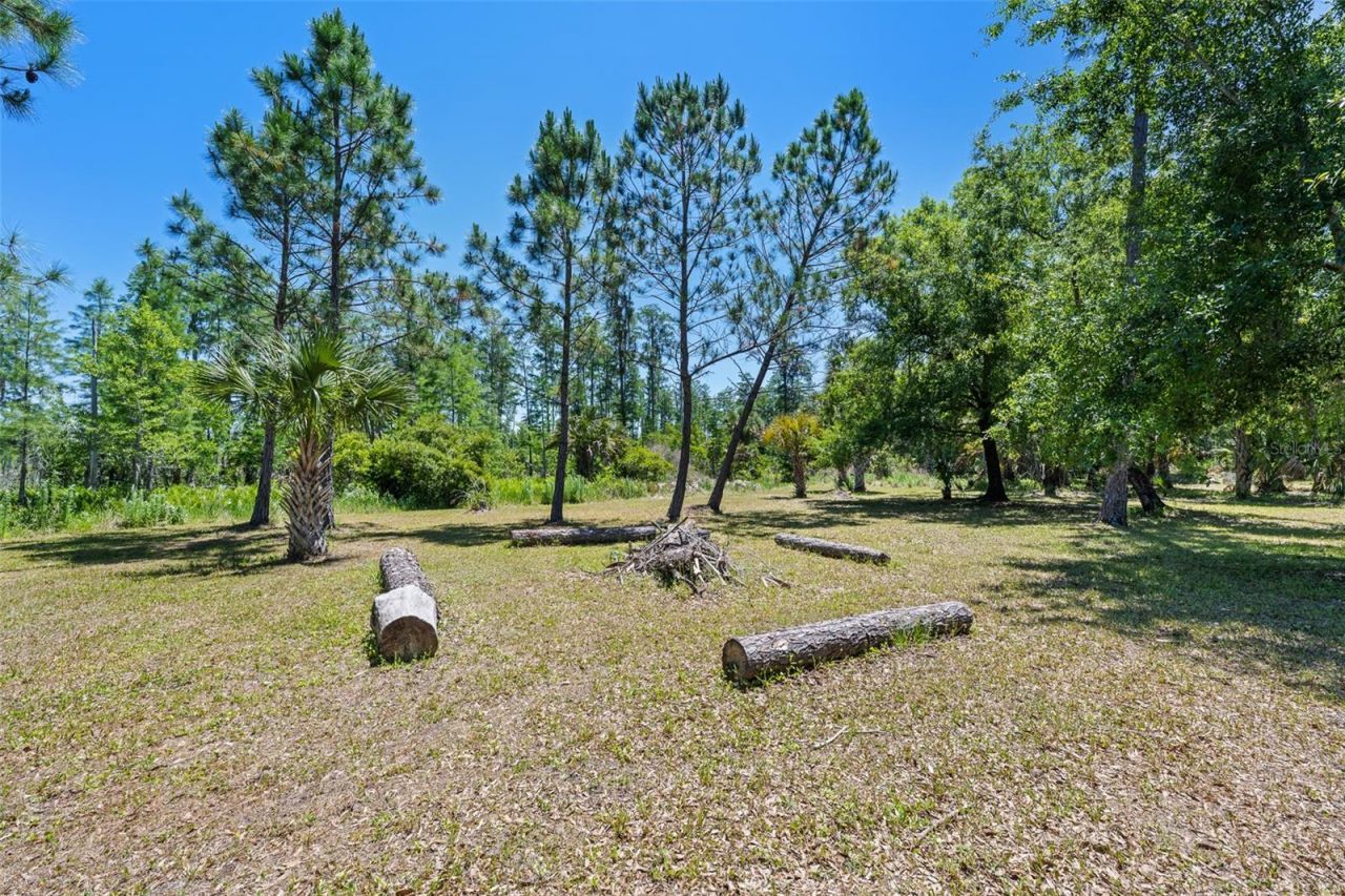 8224 Spring Forest Lane , Wesley Chapel, FL 33544 Photo