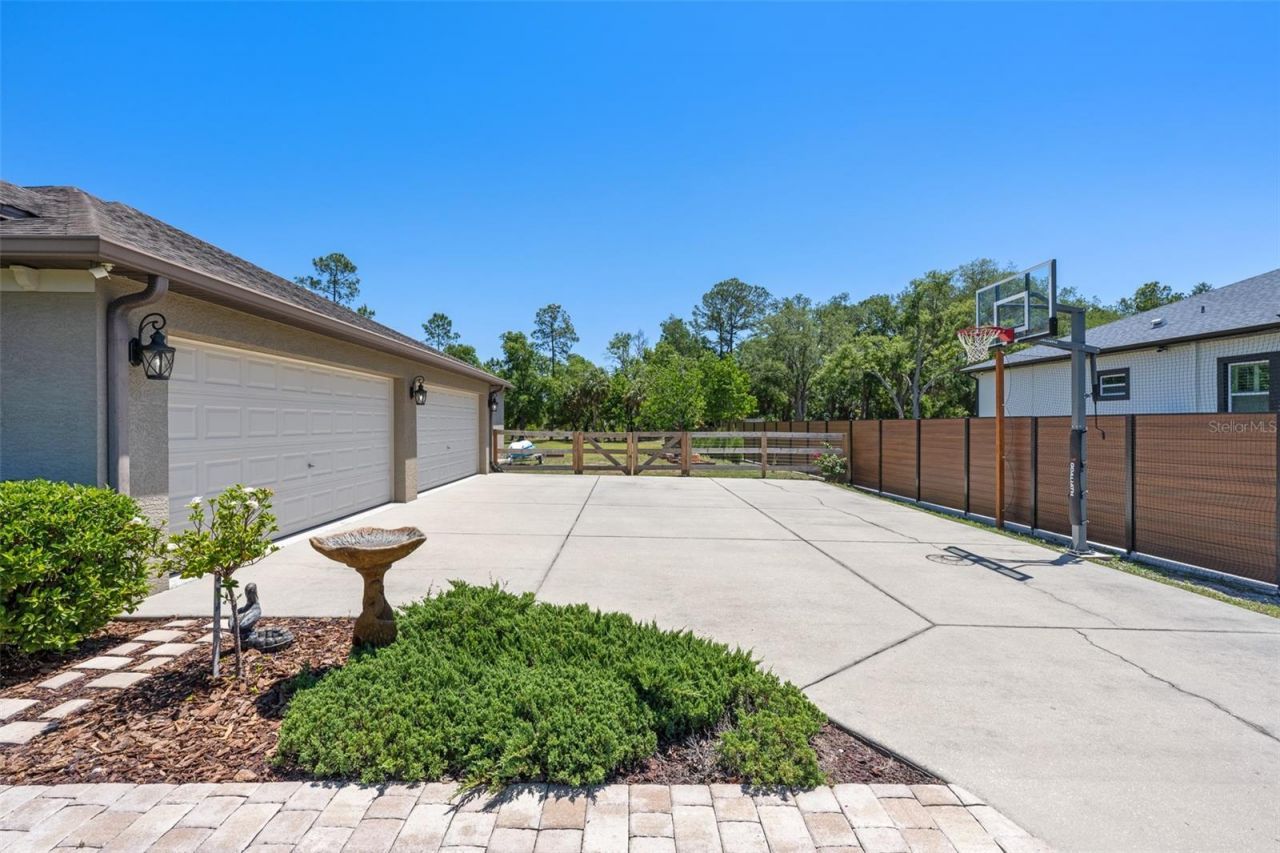 8224 Spring Forest Lane , Wesley Chapel, FL 33544 Photo
