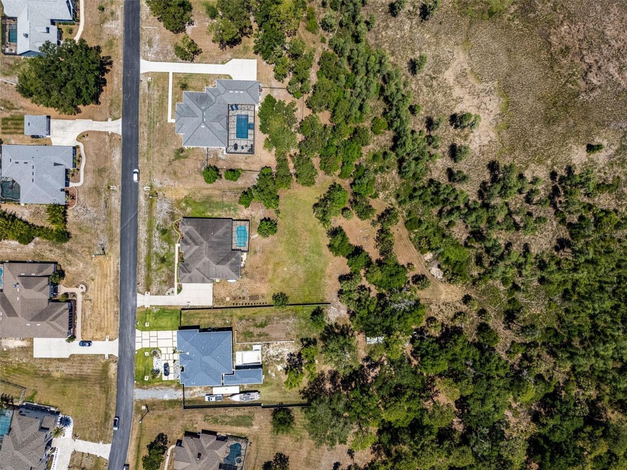8224 Spring Forest Lane , Wesley Chapel, FL 33544 Photo