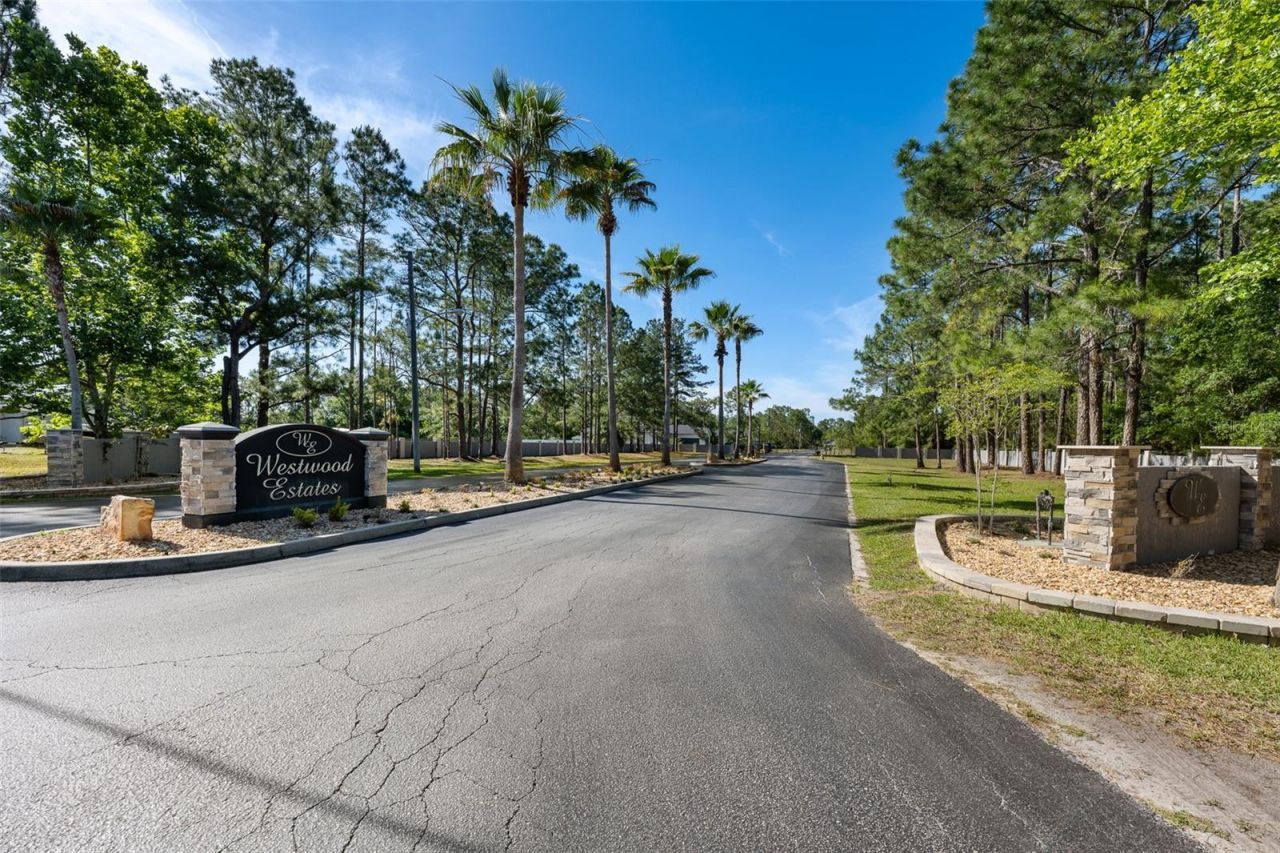 8224 Spring Forest Lane , Wesley Chapel, FL 33544 Photo