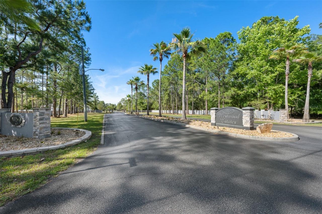 8224 Spring Forest Lane , Wesley Chapel, FL 33544 Photo