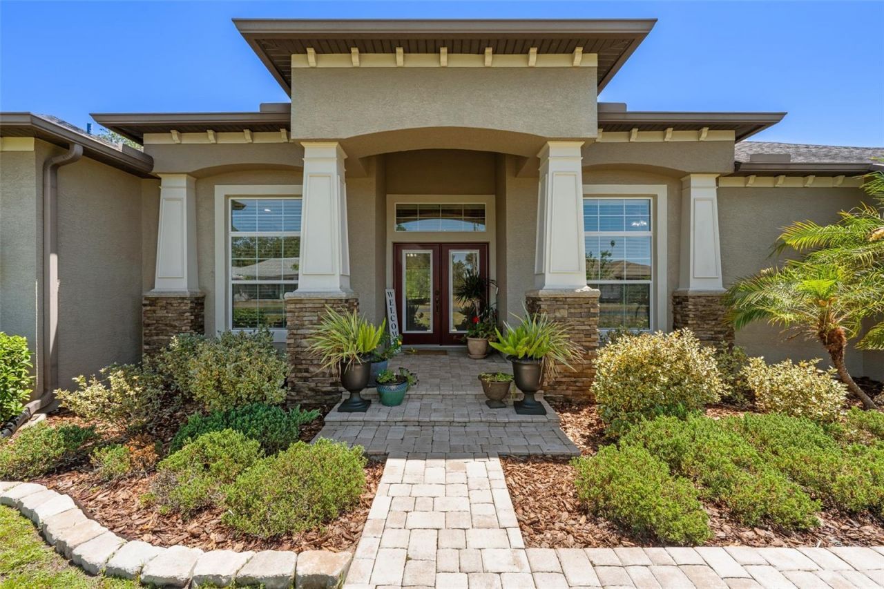 8224 Spring Forest Lane , Wesley Chapel, FL 33544 Photo
