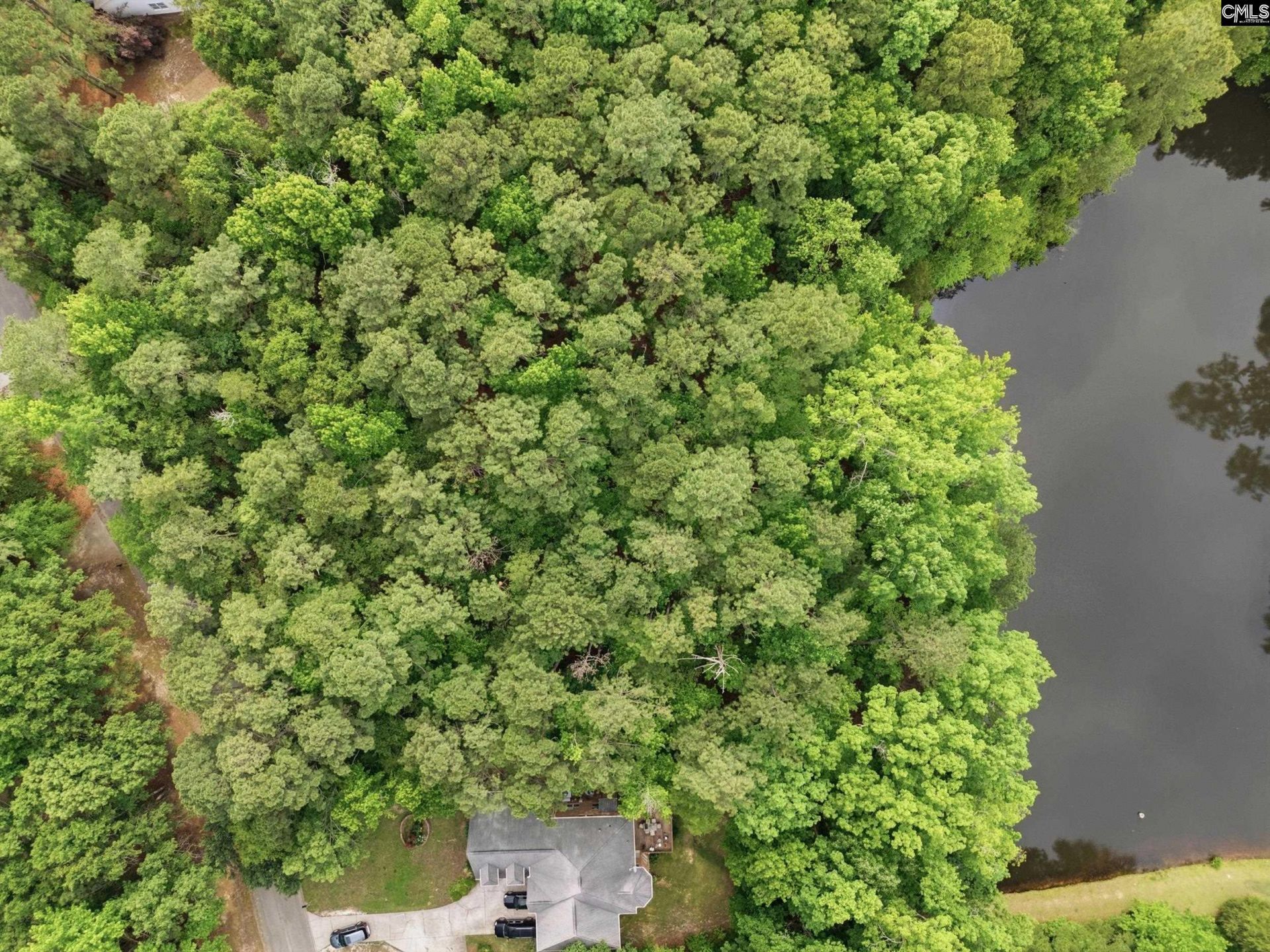 201 Ashley Oaks Drive  Photo 10