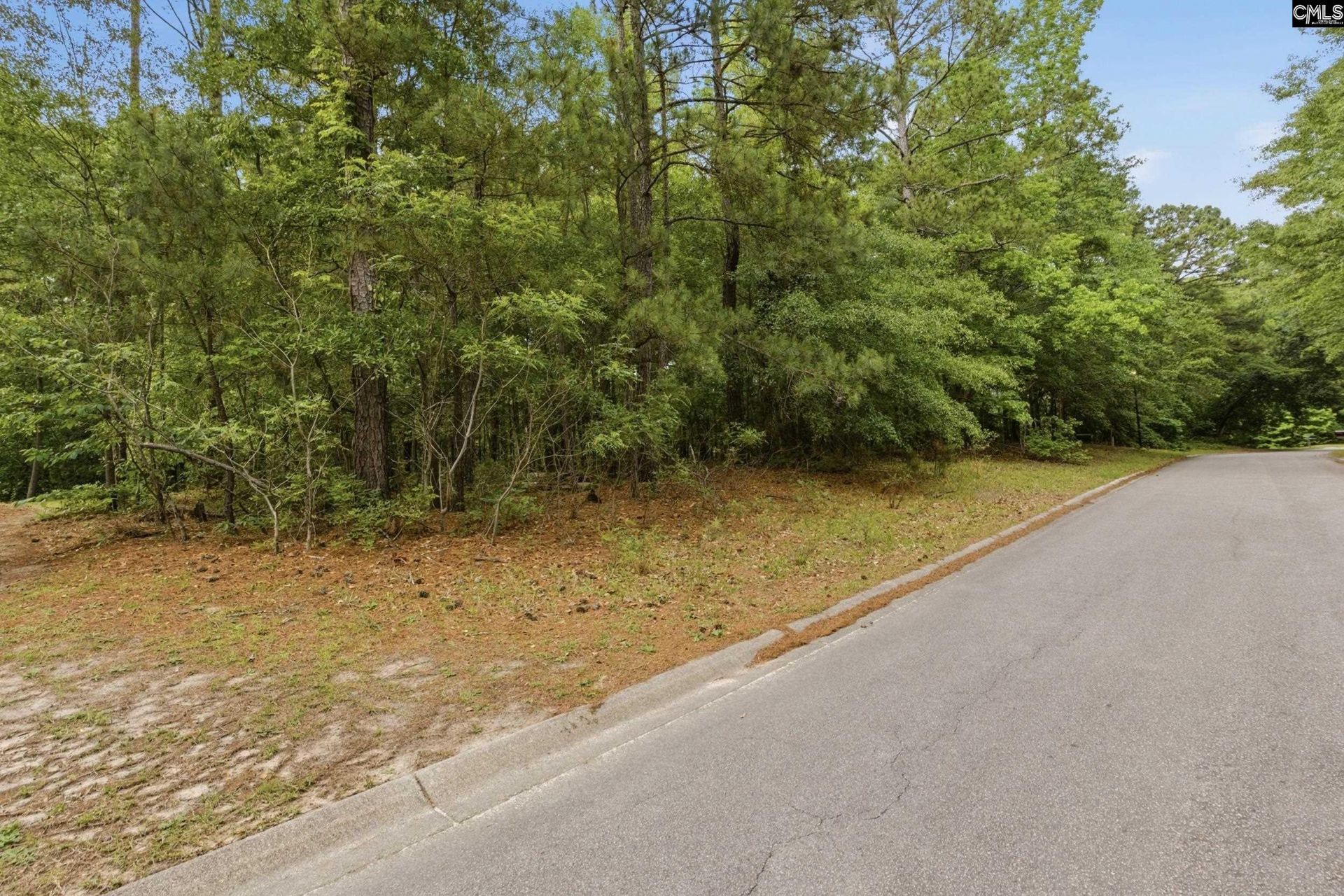 201 Ashley Oaks Drive  Photo 4