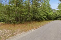 201 Ashley Oaks Drive  photo 4
