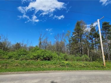 Murray Hill Road, Colden, NY 14033