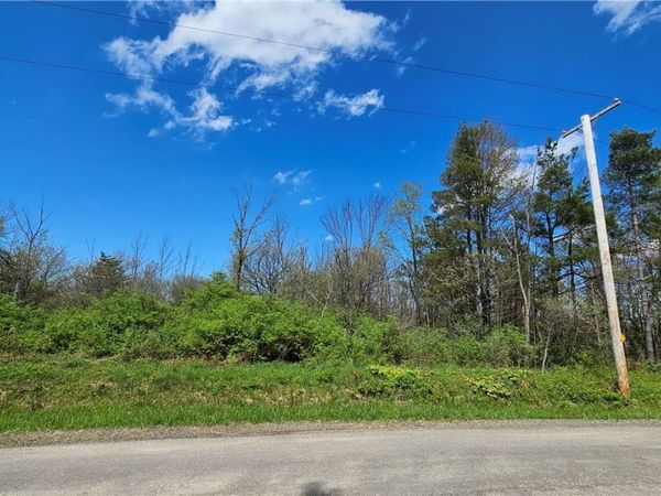 Murray Hill Road, Colden, NY 14033