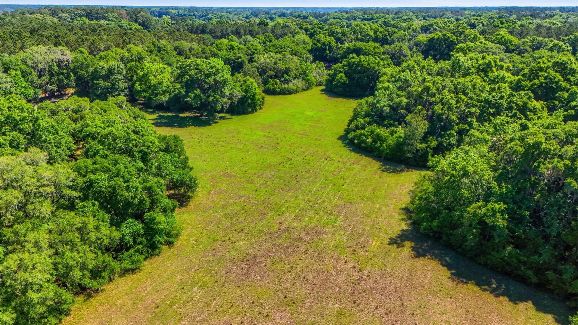 7817 Little Britton Road Photo 11