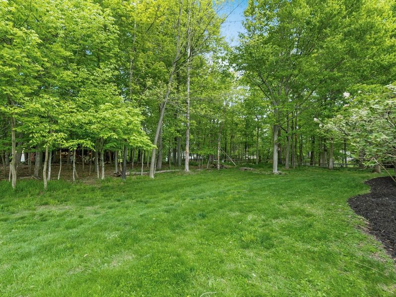 262 Beech Trail Court, Powell, OH 43065 Photo 44