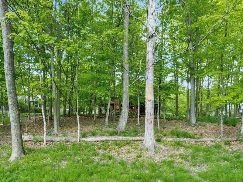 262 Beech Trail Court, Powell, OH 43065 Photo 45