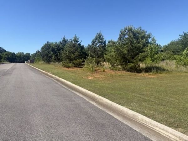 0 Almon Dr, Moulton, AL 35650