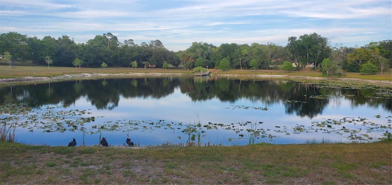 7517 Jomel Drive, Weeki Wachee, FL 34607 Photo