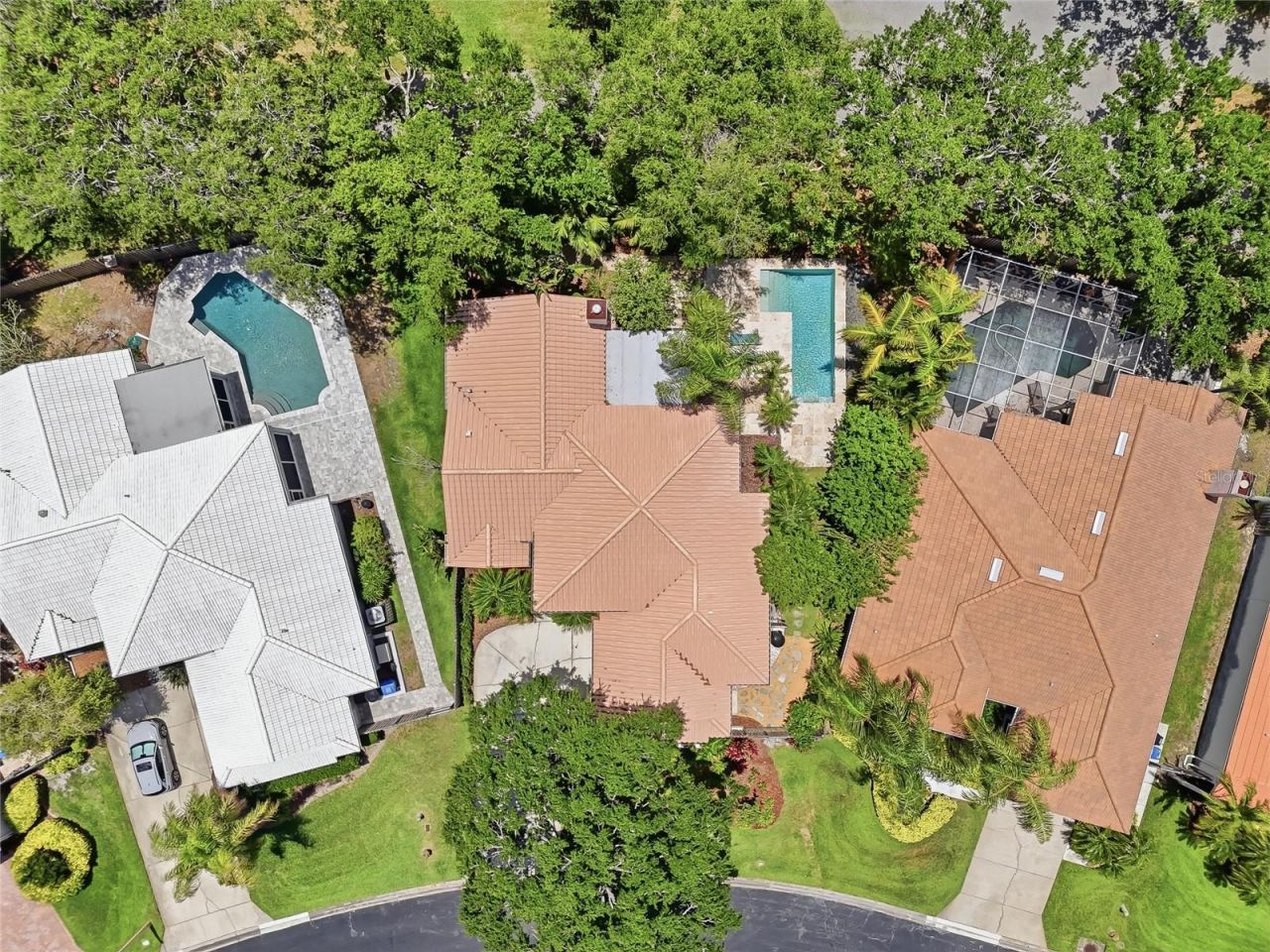 812 Live Oak Terrace Ne, Saint Petersburg, FL 33703 Photo