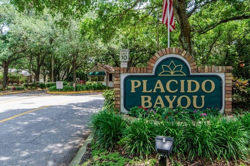 812 Live Oak Terrace Ne, Saint Petersburg, FL 33703 Photo